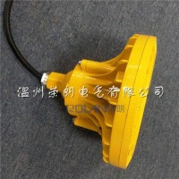 BLD110-30WLED防爆燈；廊道用防爆泛光燈