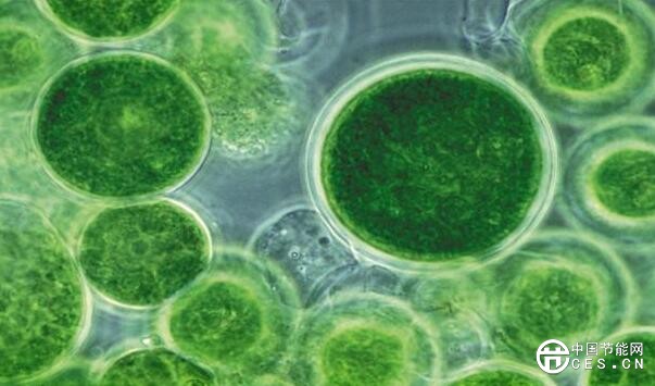 QQ截圖20180808210409