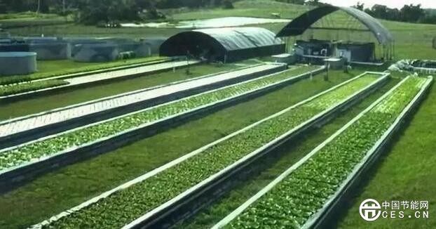 QQ截圖20180813124811