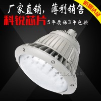 BPC8766節(jié)能防爆燈 60W防爆隧道LED燈