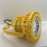 BLD220LED防爆燈 40W防爆吸頂LED燈