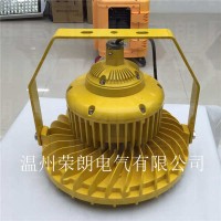 BDE525高亮度LED防爆燈 100W防爆廠房燈