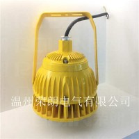 BPC8766防爆高光效燈 30WLED防爆燈