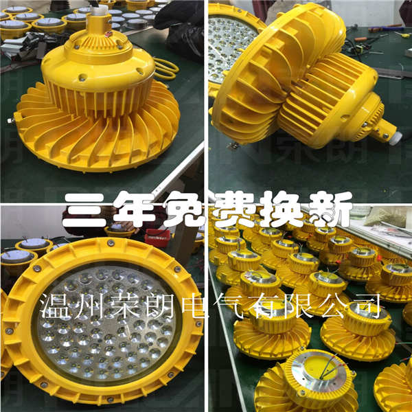 BLD230LED防爆燈同款 100W防爆車間燈