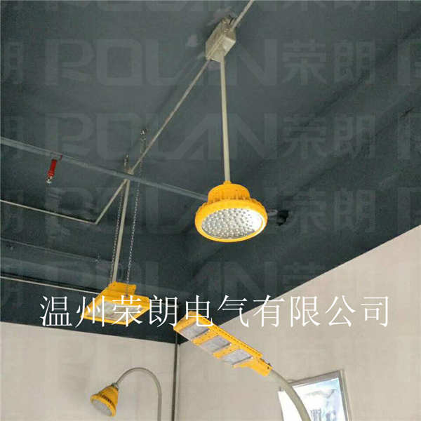 BLD118LED防爆燈 60W防爆工礦燈