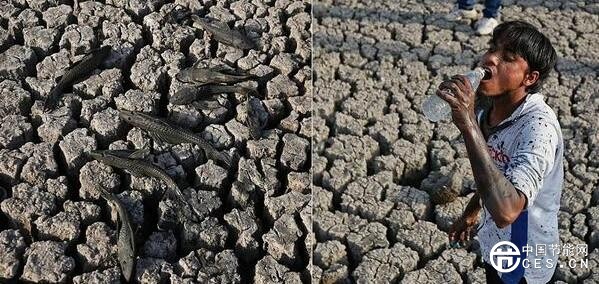 QQ截圖20181014204721