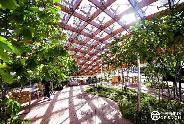 QQ截圖20181016202955