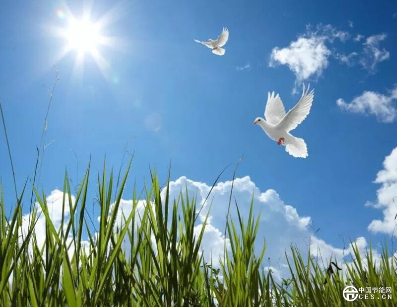 QQ截圖20181017205355