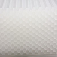 適應(yīng)性強(qiáng)能適應(yīng)不同水質(zhì)蜂窩斜管填料