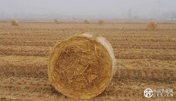 QQ截圖20181031064644