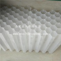 沉淀池蜂窩斜管填料 六角蜂窩斜管填料價(jià)格 沃斯特環(huán)保