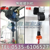 600kg智能提升機最大載重 鋼絲繩電動平衡器工作視頻