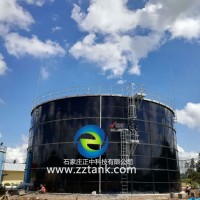 畜禽糞便處理儲(chǔ)罐_畜禽糞便發(fā)酵儲(chǔ)罐_畜禽糞便處理設(shè)備