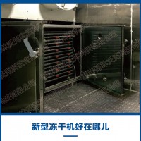 真空凍干機(jī) 生產(chǎn)型節(jié)能真空冷凍干燥機(jī)凍干菇類菌類