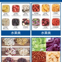 真空凍干機 干燥箱凍干機多歧管掛瓶壓蓋預(yù)凍蟲草食物用