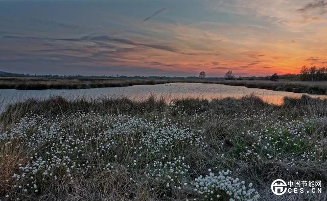 北極變暖速度比任何地方都要快！如何預測北極濕地的未來？