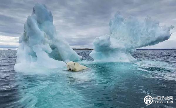 北極變暖速度比任何地方都要快！如何預測北極濕地的未來？