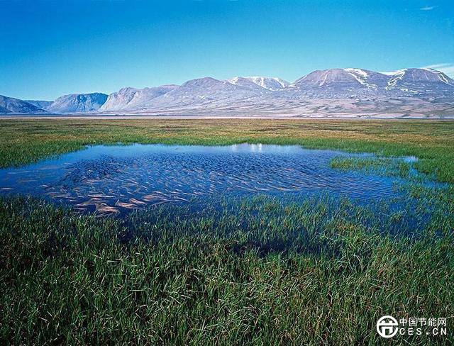 北極變暖速度比任何地方都要快！如何預測北極濕地的未來？
