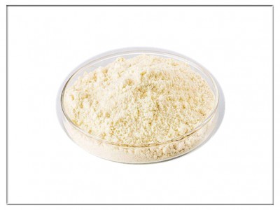 BK催化劑微粉洗滌設備|催化劑微粉洗滌設備廠家