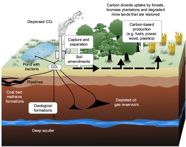 科學(xué)家研發(fā)了一種“活性炭海綿”，能直接“抓走”空氣中的二氧化碳