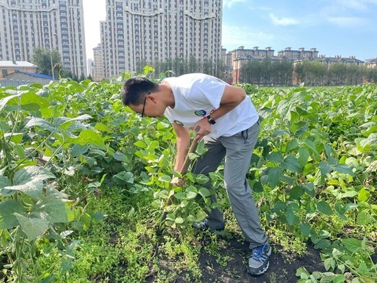 蓬勃發(fā)展的綠色職業(yè)帶來(lái)就業(yè)新機(jī)遇