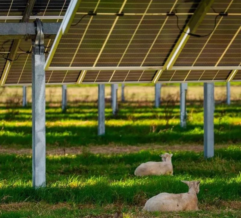 光伏支架掀起“跟蹤熱潮”