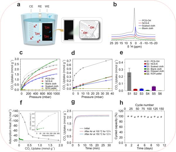 香港中文大學(xué)（深圳）科研新突破！帶電吸附劑“碳索”碳中和新時(shí)代