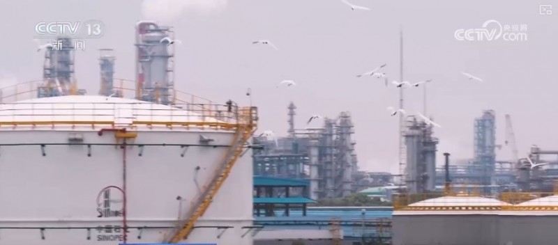煉化工廠成鳥兒新“家” “綠色工廠”盡顯工業(yè)之美