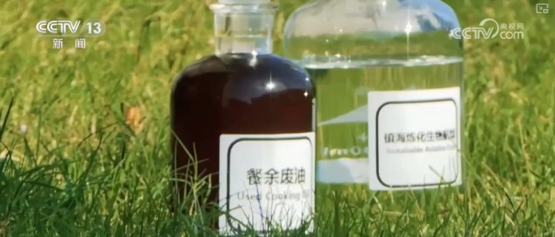 煉化工廠成鳥兒新“家” “綠色工廠”盡顯工業(yè)之美