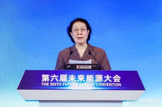 第六屆未來能源大會（FEC2024）在蘇州召開