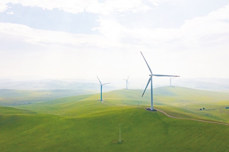 75年，引領(lǐng)世界的綠色浪潮