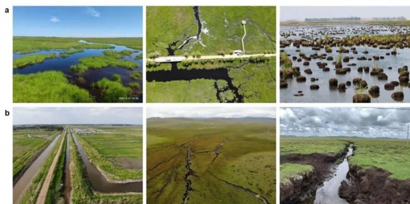 干涸的濕地會(huì)加速碳分解嗎？