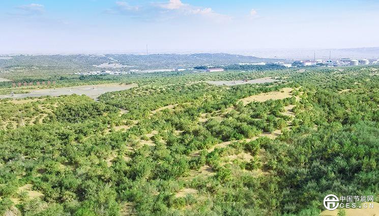 陽(yáng)光“養(yǎng)綠”首條零碳沙漠公路 陽(yáng)光“養(yǎng)綠”首條零碳沙漠公路