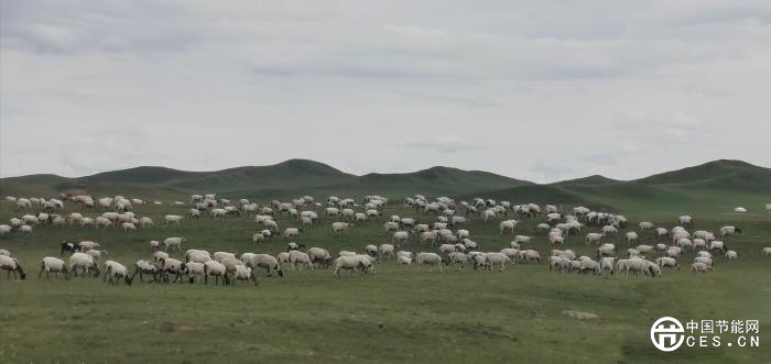 中國團(tuán)隊(duì)系統(tǒng)評(píng)估:青藏高原已實(shí)現(xiàn)溫室氣體凈零排放 中國團(tuán)隊(duì)系統(tǒng)評(píng)估:青藏高原已實(shí)現(xiàn)溫室氣體凈零排放
