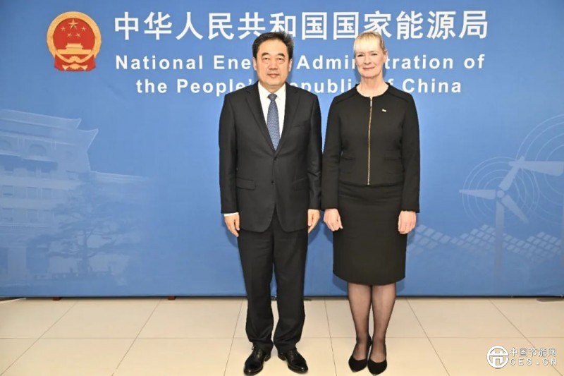 國家能源局主要負責人會見世界能源理事會總干事 國家能源局主要負責人會見世界能源理事會總干事