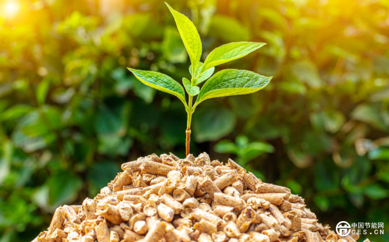 分析生物質(zhì)能源的真實(shí)價值與挑戰(zhàn)