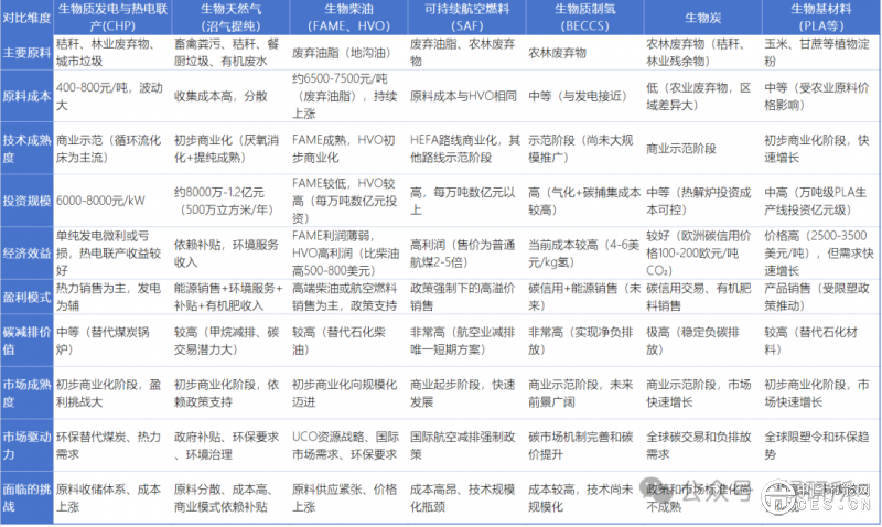 分析生物質(zhì)能源的真實(shí)價值與挑戰(zhàn)
