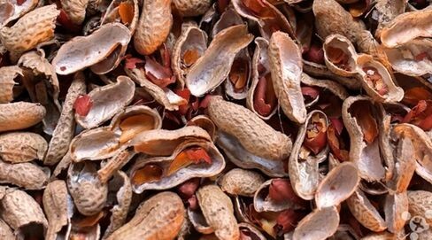 萬萬沒想到！花生殼竟能拯救北京霧霾