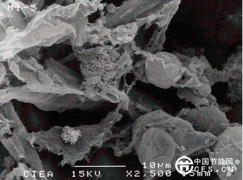 萬萬沒想到！花生殼竟能拯救北京霧霾