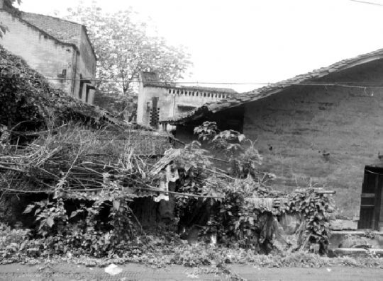 為建小南海水電站，2006年，官方下達(dá)“封庫令”，禁止房屋建設(shè)以及招商引資。8年后，中壩島上許多房屋都成了危房。本報(bào)記者 鄧全倫 攝