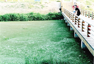 鄭州西流湖生態(tài)水系遭破壞[圖]