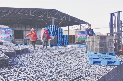 新投產(chǎn)的新型脫硫清潔環(huán)保型煤生產(chǎn)廠區(qū)一角