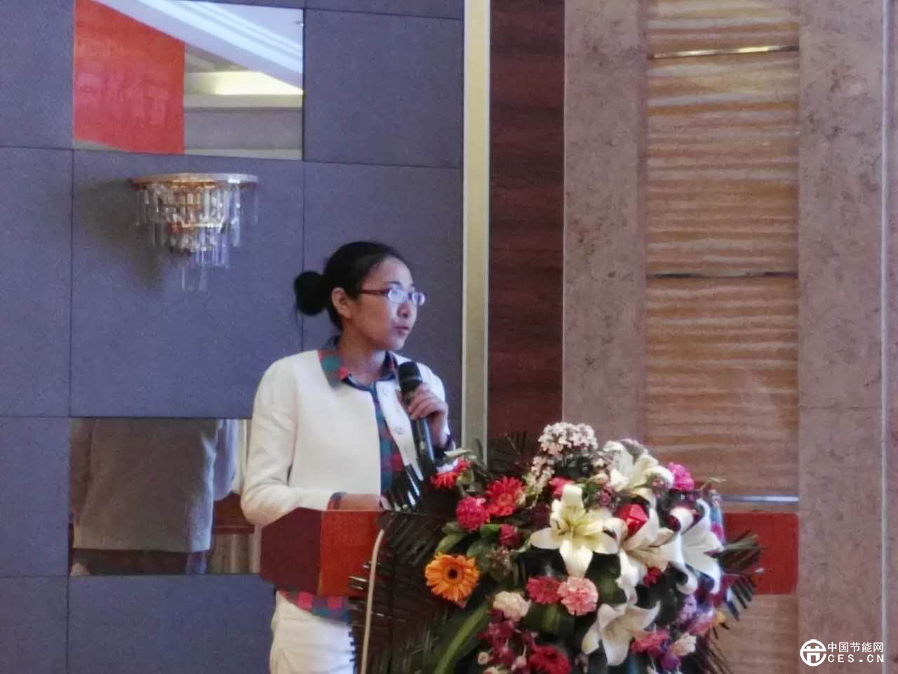 河南大數(shù)據(jù)環(huán)?？萍挤?wù)股份有限公司 常務(wù)副總經(jīng)理 童麗美