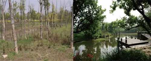 杭州西溪濕地截污納管治理效果對(duì)比圖