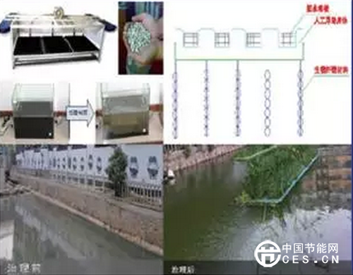 生態(tài)浮島治理效果對(duì)比圖