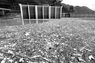 樂昌峽大壩上游庫區(qū)被垃圾漂浮帶圍困