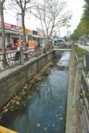 2月17日，成都國槐街的兩條水渠又臟又臭。