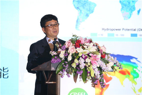 水電水利規(guī)劃設(shè)計(jì)總院院長鄭聲安發(fā)言
