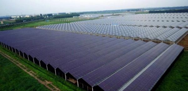 120MW光伏發(fā)電項(xiàng)目奠基 造血式扶貧助農(nóng)民增收