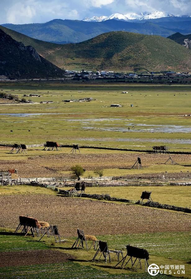 云南迪慶藏族自治州推進生態(tài)文明建設 森林覆蓋率達73.95%